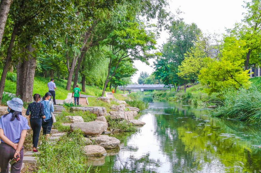北京湿地在复苏：4年恢复和新建近9000公顷