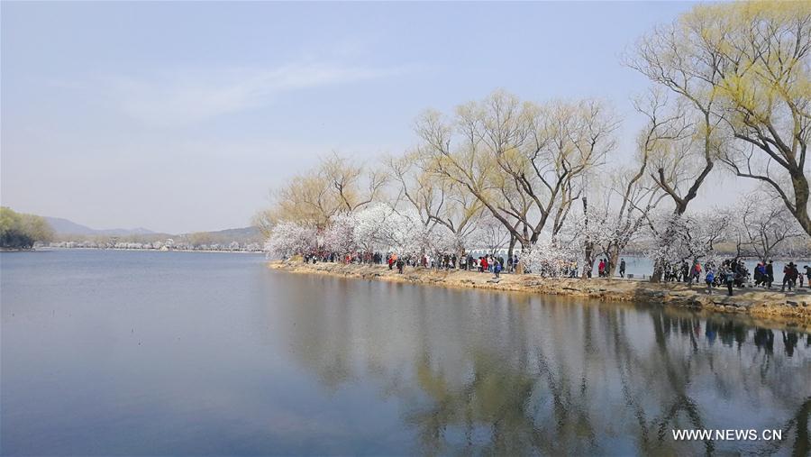 In pics: spring scenery in Beijing