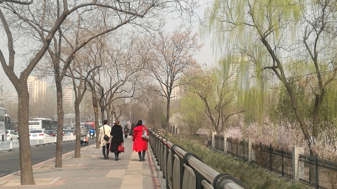 图片默认标题_fororder_1時間目