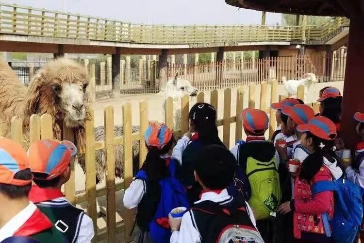 首批入选!西安世博园成为西安研学旅行实践教育基地