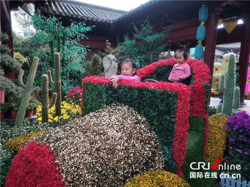 【A】中国开封第九届国际菊花展在清明上河园开幕
