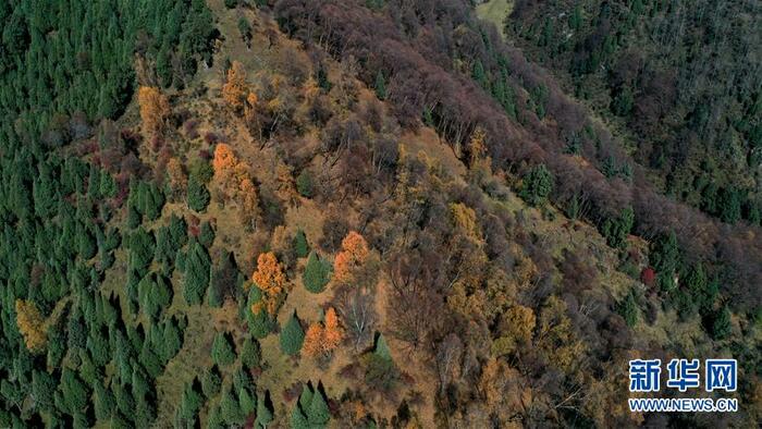 청해 北山지질공원의 가을 청해 北山지질공원의 가을_fororder_4