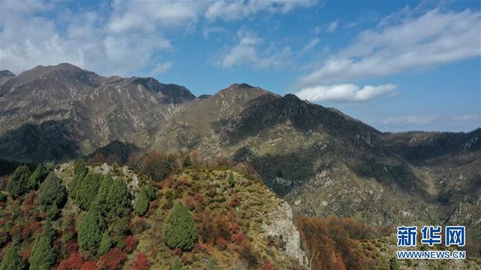 청해 北山지질공원의 가을 청해 北山지질공원의 가을_fororder_2