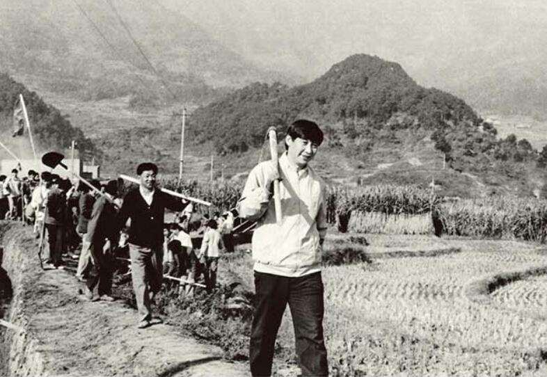 图片默认标题_fororder_4