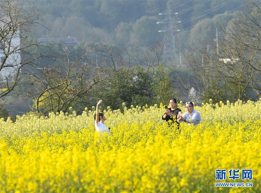 浙江建德：畅游油菜花海