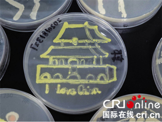 （供稿 教育列表 三吴大地南京 移动版）中国药科大学学子用细菌作画 贺改革开放40周年