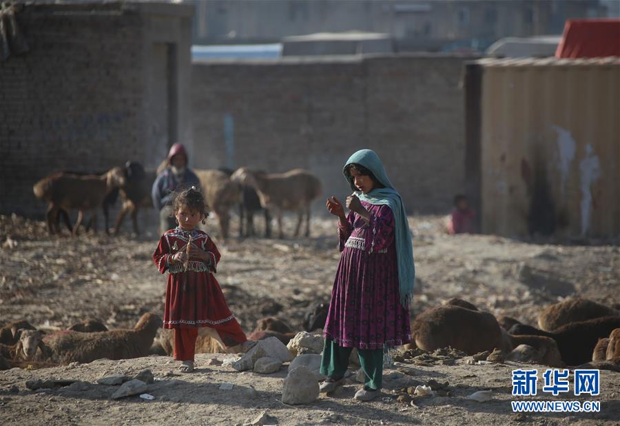 世界儿童日：阿富汗370万学龄儿童无书可读
