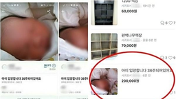 极速赛车微信群公众号群