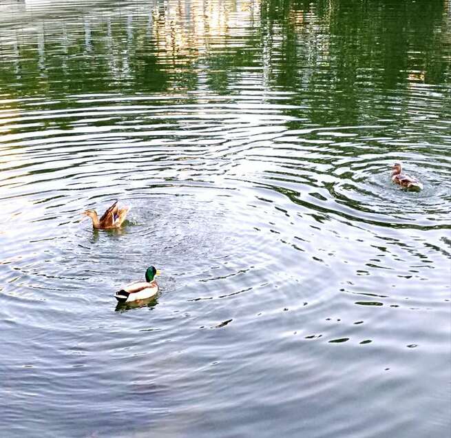 10月20日 火曜日_fororder_微信图片_20201020233551