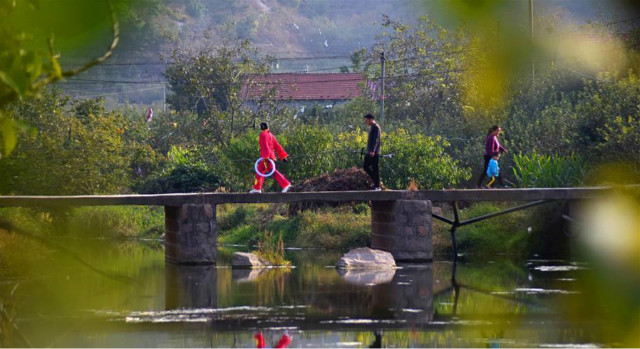 สาวหูหนวกไลฟ์เต้นรำขายแอปเปิ้ลบ้านเกิด_fororder_1021-pg-4