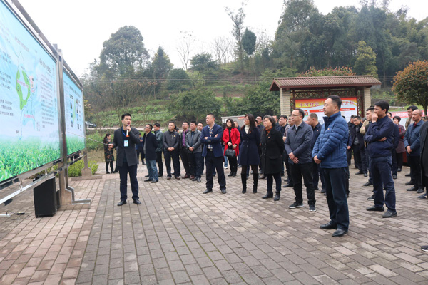 图片默认标题_fororder_督导来复镇经济发展工作