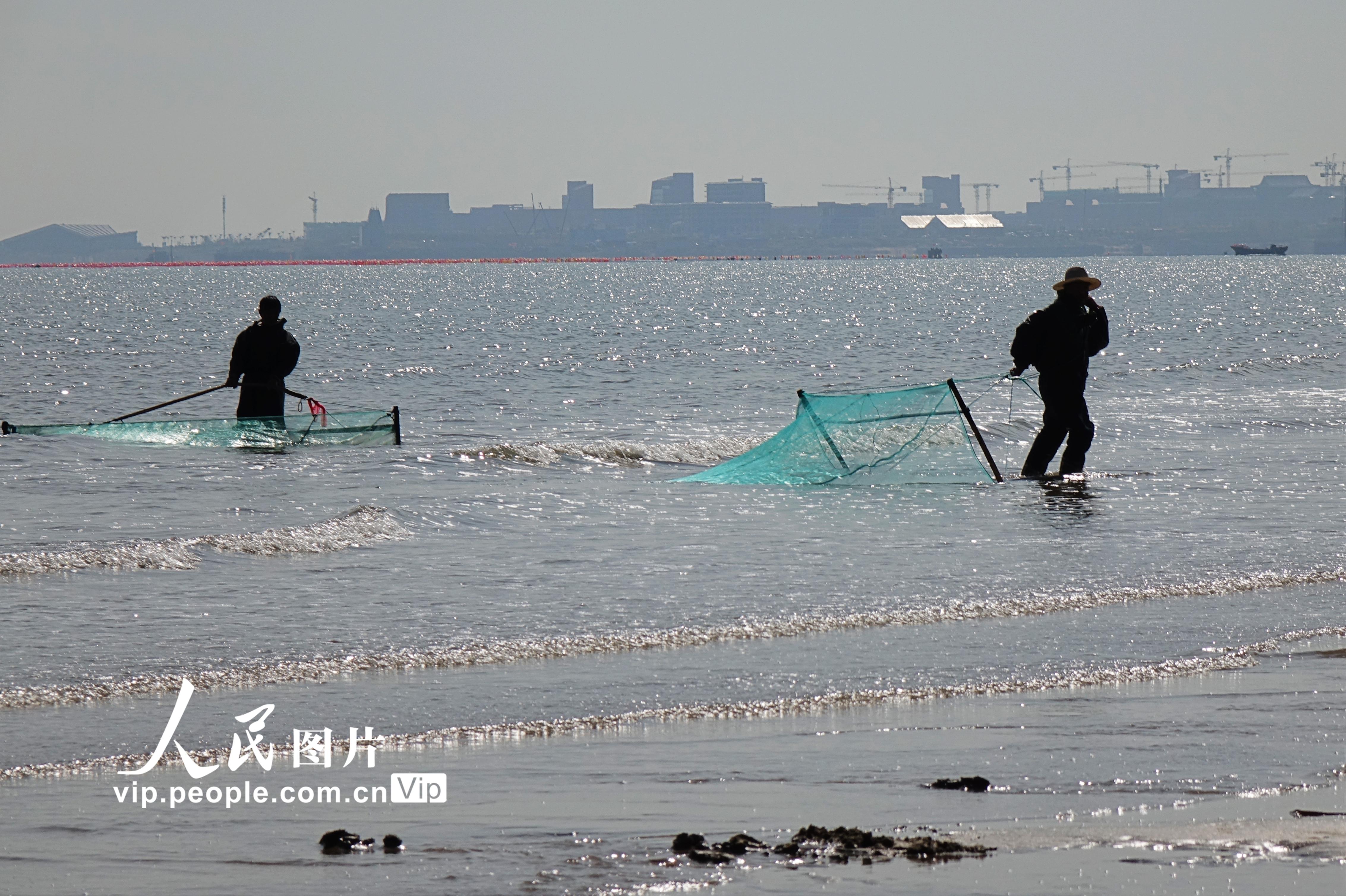 青岛：渔民独特捕虾方式尽现古朴渔家风情