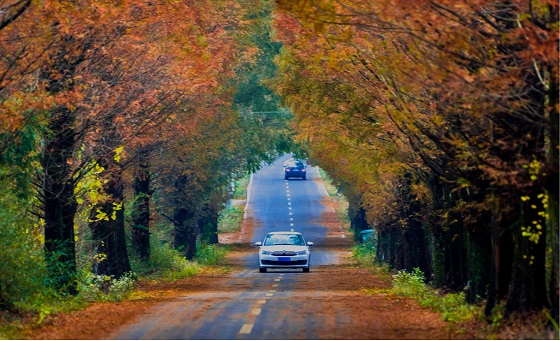 驾游安徽一起来!2020安徽自驾游大会开幕在即 驾游安徽一起来!2020安徽自驾游大会开幕在即
