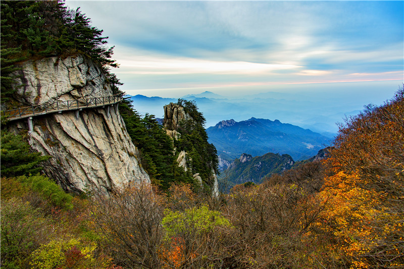 （有修改）【图片稿件】河南鲁山：红叶观赏正当时