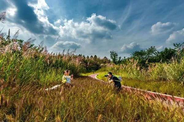 图片默认标题_fororder_王晓林