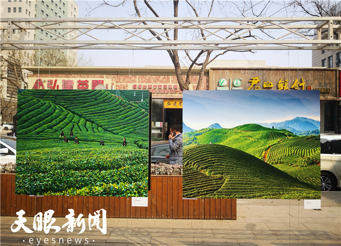 （要闻）第11届中国·贵州国际茶文化节（茶产业博览会）宣传推介暨“我有贵州半亩茶”网络名人公益活动启动