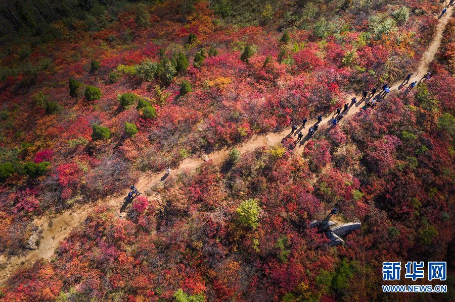 【城市远洋】洛阳：花果山上赏红叶