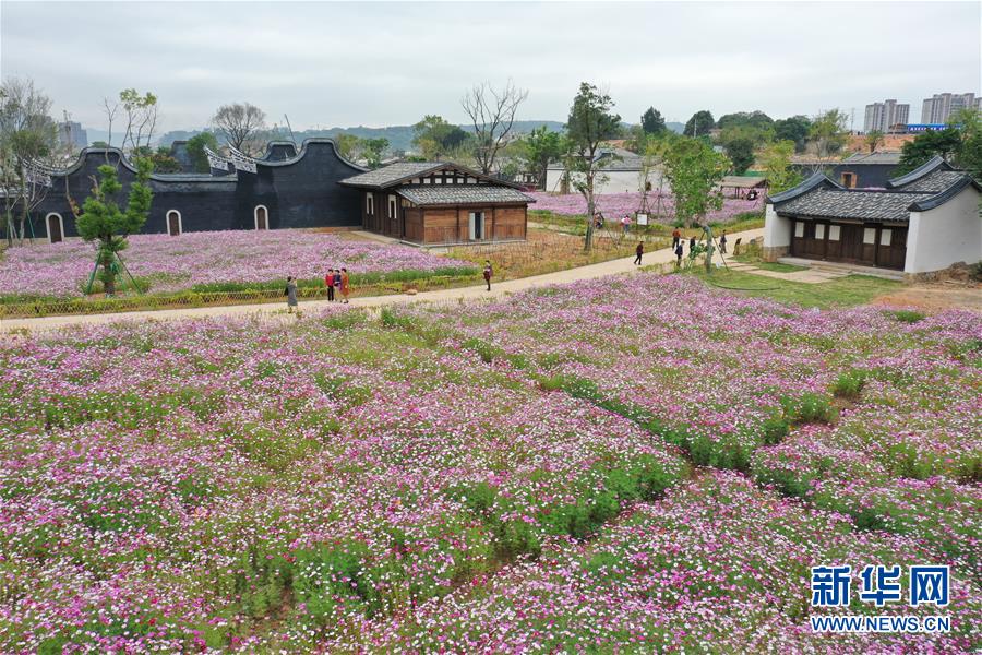 福州：打造特色街区 促进乡村旅游发展