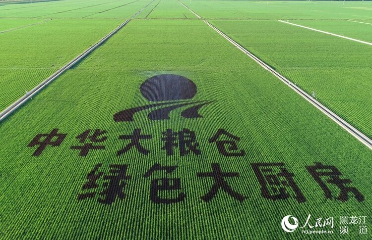 “北大荒现代化大农业主题摄影作品展”在北京国际摄影周展出