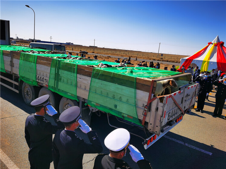 Хонийг хүлээлгэн өгөх ёслол болов_fororder_1603344593943_461_810x607