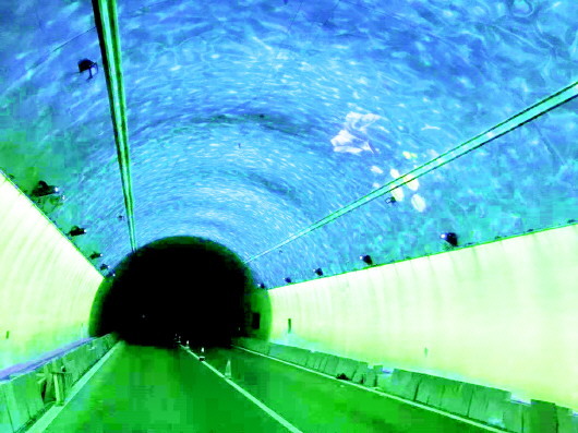 （大交通）缓解隧道视觉不适现象