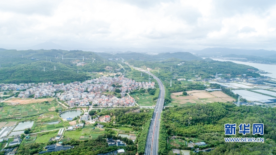 “蝶岛”蝶变：昔日“风沙之岛” 今日“东海绿洲”