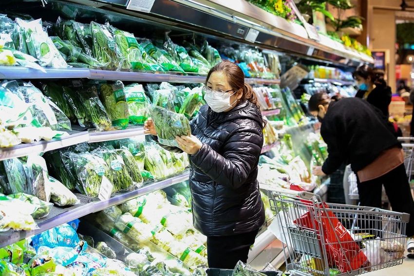 家家悦每日千吨蔬菜应市 全力保障市民“菜篮子”