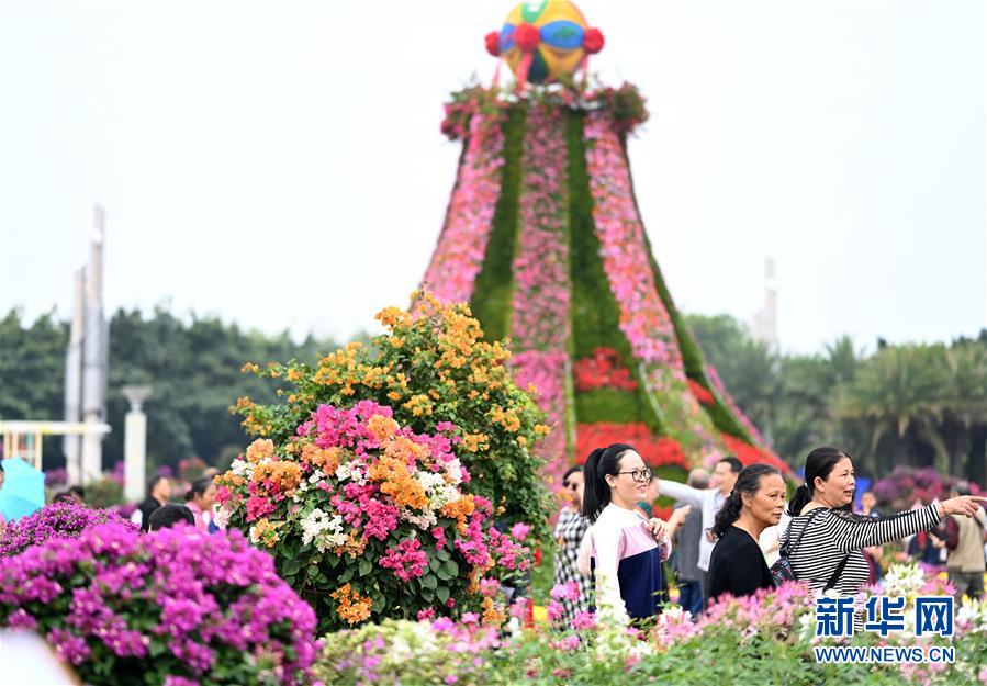 广西柳州：深秋花卉展迎客来