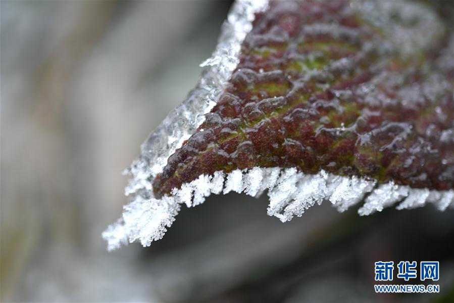 微观冰雪入画来 微观冰雪入画来