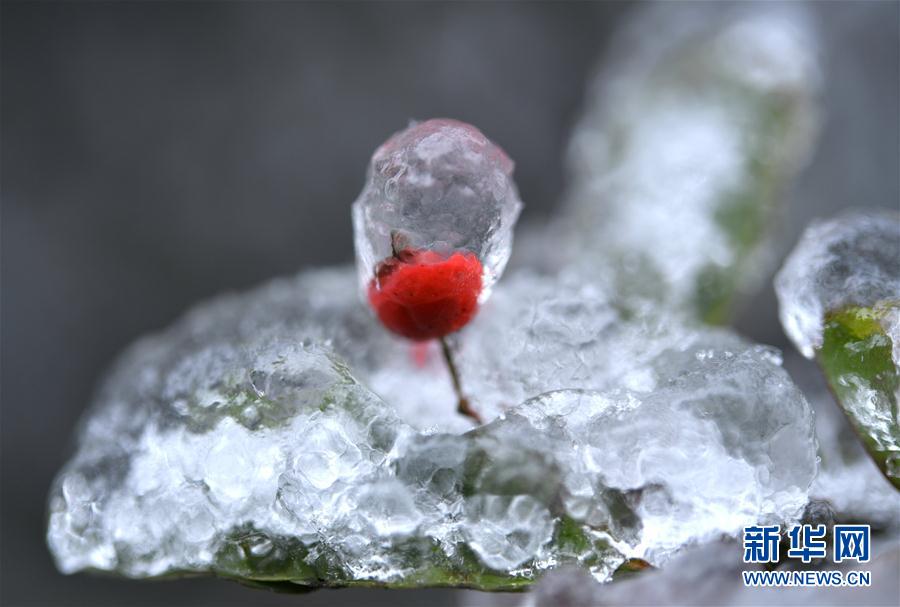 微观冰雪入画来 微观冰雪入画来