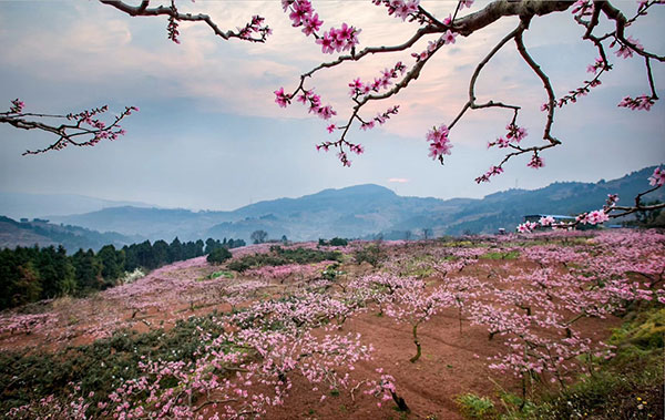 图片默认标题_fororder_3