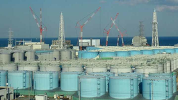 pk10信誉公众号 赛车信誉公众号