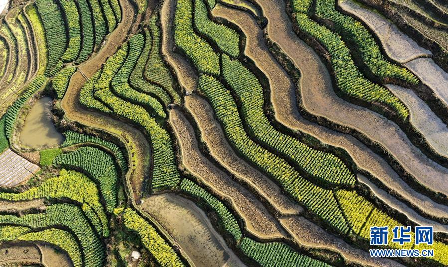 陕西汉中:春意盎然的“西北小江南” 陕西汉中:春意盎然的“西北小江南”