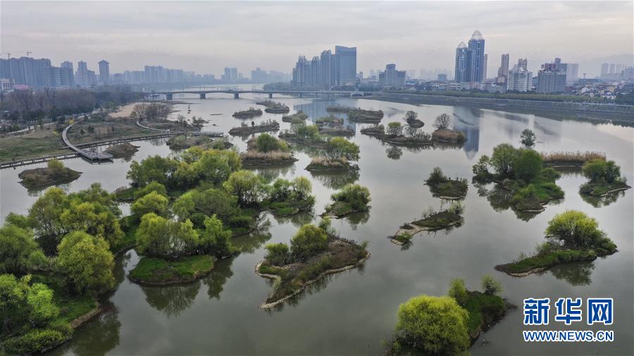 陕西汉中:春意盎然的“西北小江南” 陕西汉中:春意盎然的“西北小江南”