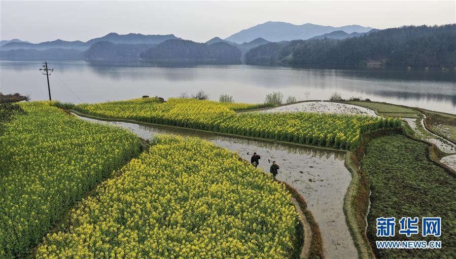 陕西汉中:春意盎然的“西北小江南” 陕西汉中:春意盎然的“西北小江南”