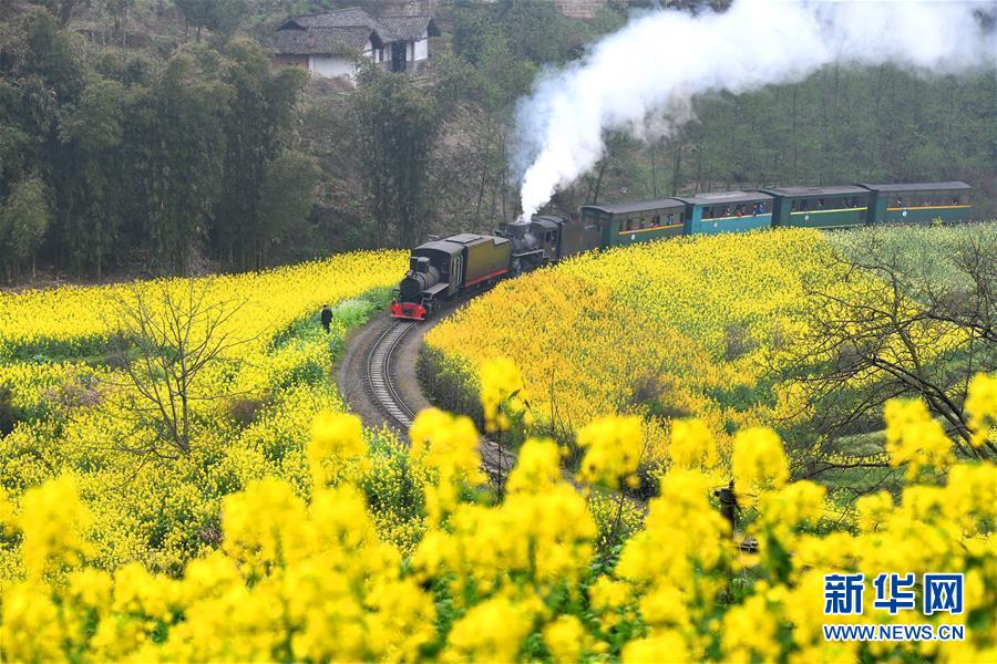 四川犍为：“开往春天”的小火车