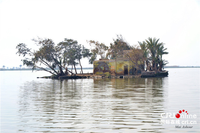 매력적인 이집트