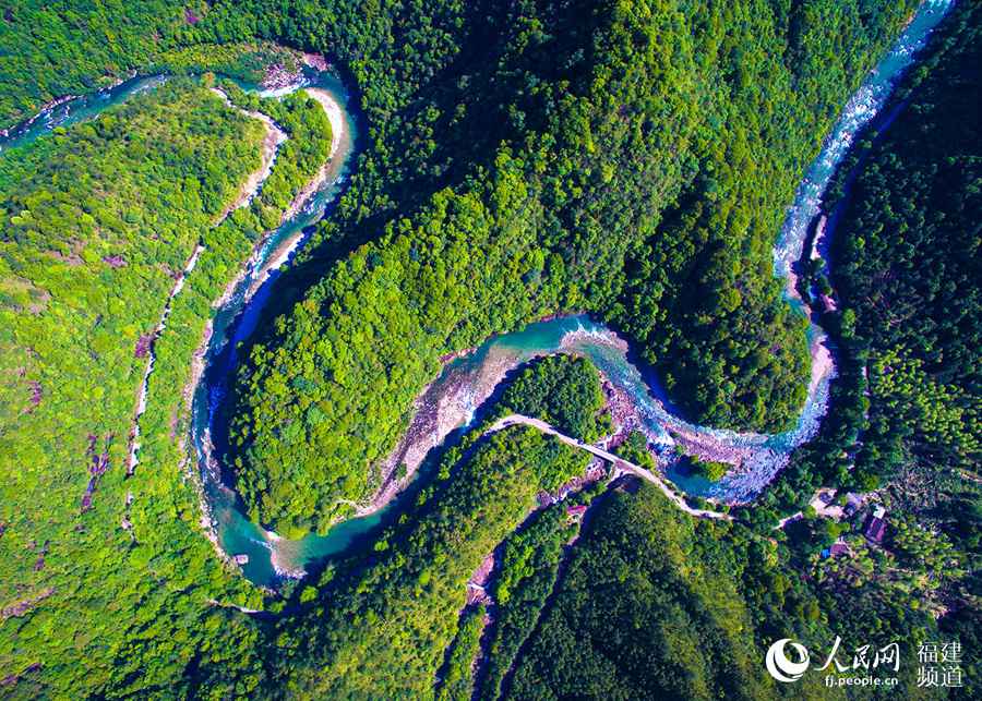 【焦点图】【福州】【移动版】【Chinanews带图】国际森林日 来看中国最“绿”省份的最美森林