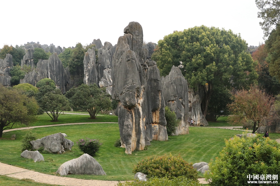 臺(tái)灣年輕自媒體人訪石林國家地質(zhì)公園