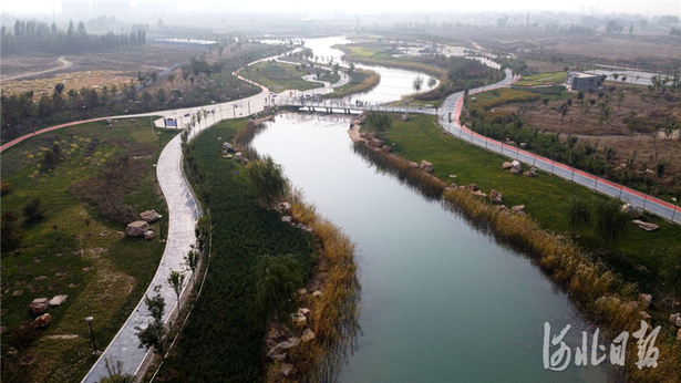 河北宁晋：改善生态环境 提升城市品位