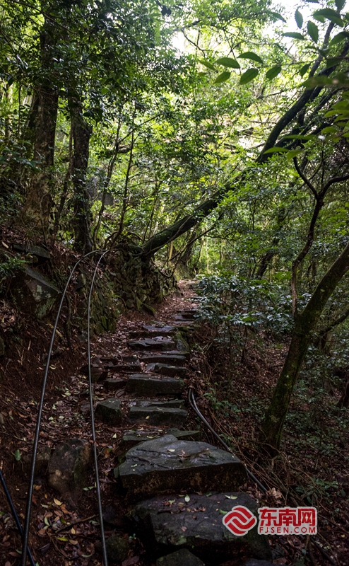 泉州传统村落之安溪松岩村：千年古道走出香茗传奇