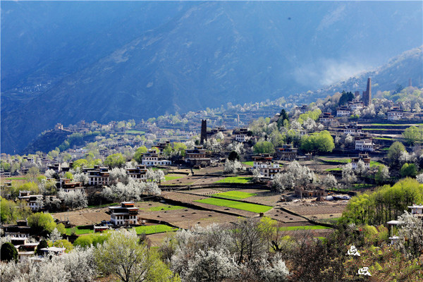 图片默认标题_fororder_3、丹巴中路梨花藏寨美如画--供图-丹巴县委宣传部