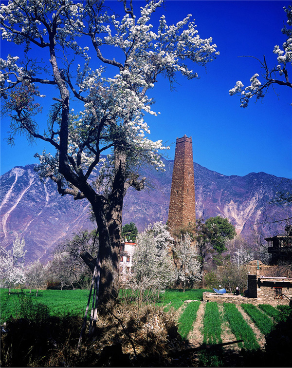 图片默认标题_fororder_4、中路春色迷人--供图-丹巴县委宣传部