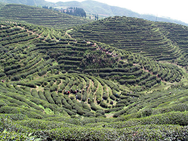 图片默认标题_fororder_3