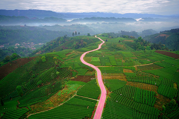 图片默认标题_fororder_1