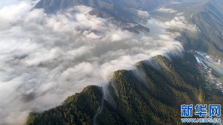江西武宁:柳山云海如蓬莱仙境 江西武宁:柳山云海如蓬莱仙境