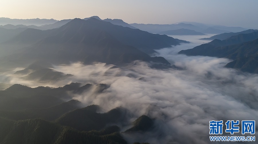 江西武宁:柳山云海如蓬莱仙境 江西武宁:柳山云海如蓬莱仙境