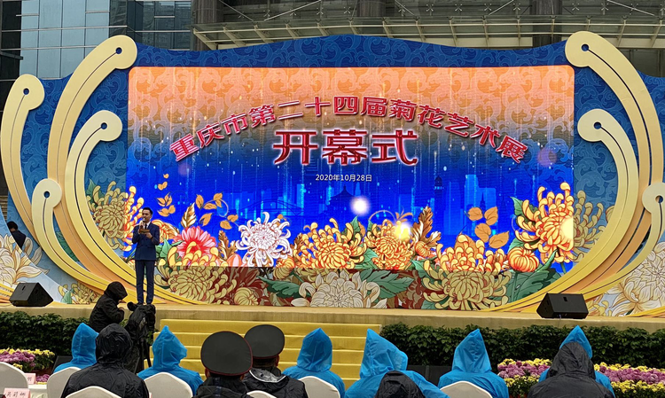 （有修改）（加急）【B】重庆市第24届菊花艺术展开幕
