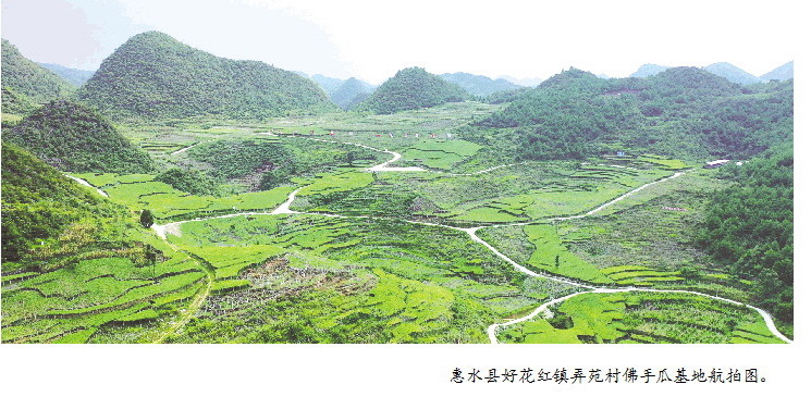 (中首)高效集约 点石成金 ——贵州省农科院发展特色蔬果产业的扶贫故事