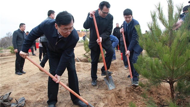 陕西省国家储备林基地开工建设